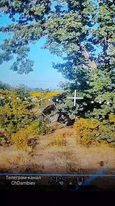 ������ �������: ��������� ��������� ���������� ����������� "������" �� �� �� ������� ���������� �� ����-�������� ����������� ��� ���� ���������� ��������������� International MaxxPro ������������� ������������