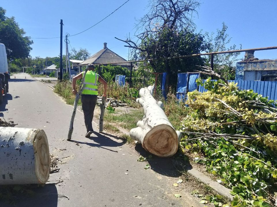 Константин Зинченко: В ходе встречи с гражданами по улице Героя России В. А. Жоги, 97, состоявшейся на днях, жители подняли важный вопрос о состоянии зеленых насаждений