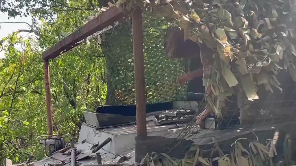 �������� ����. ����� �� 238 ����������� ��� ������� ����� ���������� � ���