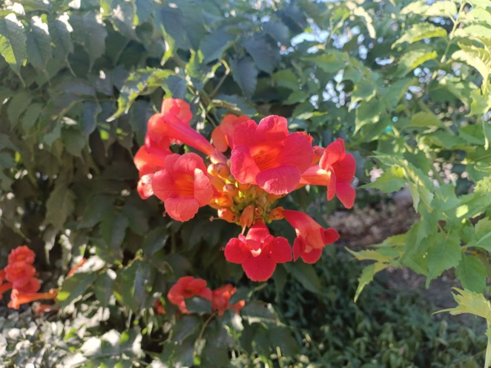 Доброе утро, Амвросиевский муниципальный округ!