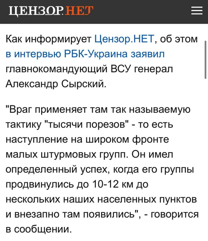 Анатолий Кузичев: Главком ВСУ Сырский решил оправдаться из-за прорыва российской армии под Добропольем