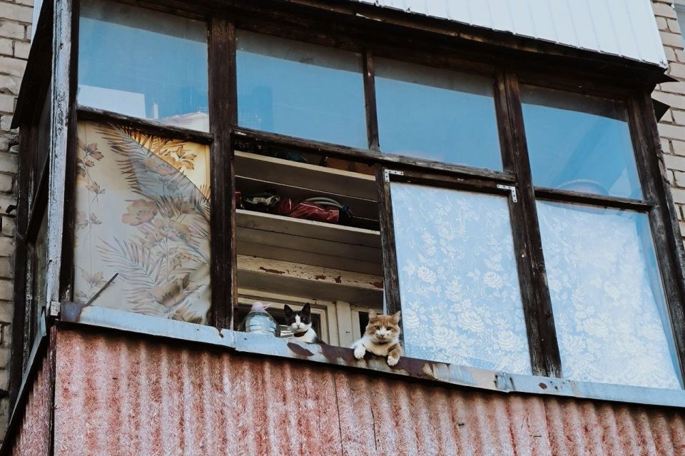 ����� ��������: �������� ������ ����, ����� �� ����� ����