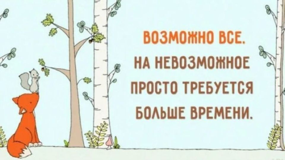 ��������� �����. ��������� ���������-24