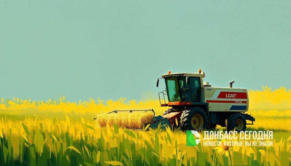 ������ ���� �� �������: ��� ������� �������� ��� � ���������� �������