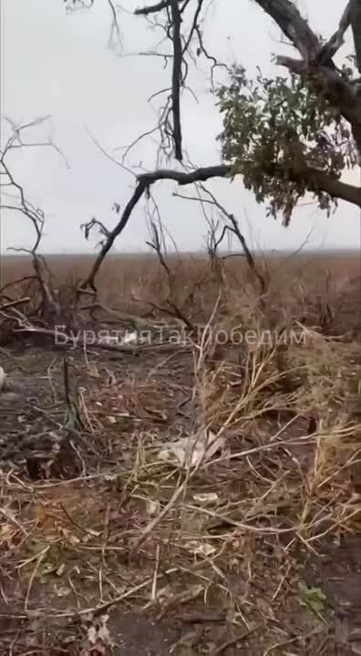 �������� �����. ���� 2024 ����