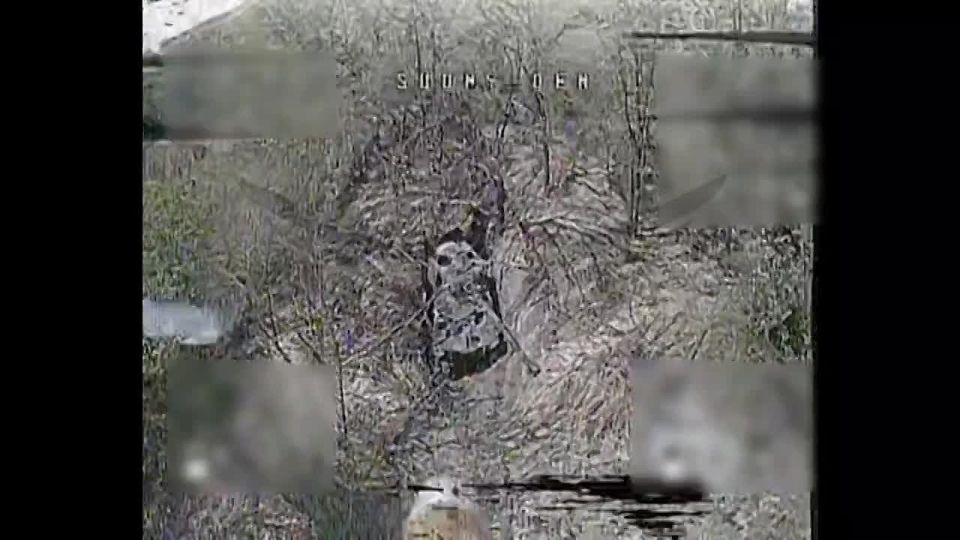 12 ������� ������ �.� ��������� ���� ���������� ���������� �������������� ������ �109 Paladin ������������ ���