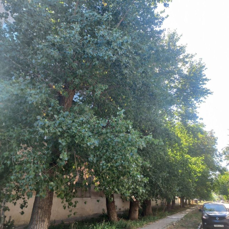 Константин Зинченко: Недавно совместно с представителями филиала «Единый региональный фонд по управлению многоквартирными домами» провёл встречу с жителями пгт Донское по ул. Менделеева, 12