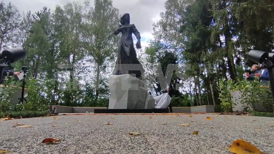 ����� ������ ����� �������� �������� ������ �����������