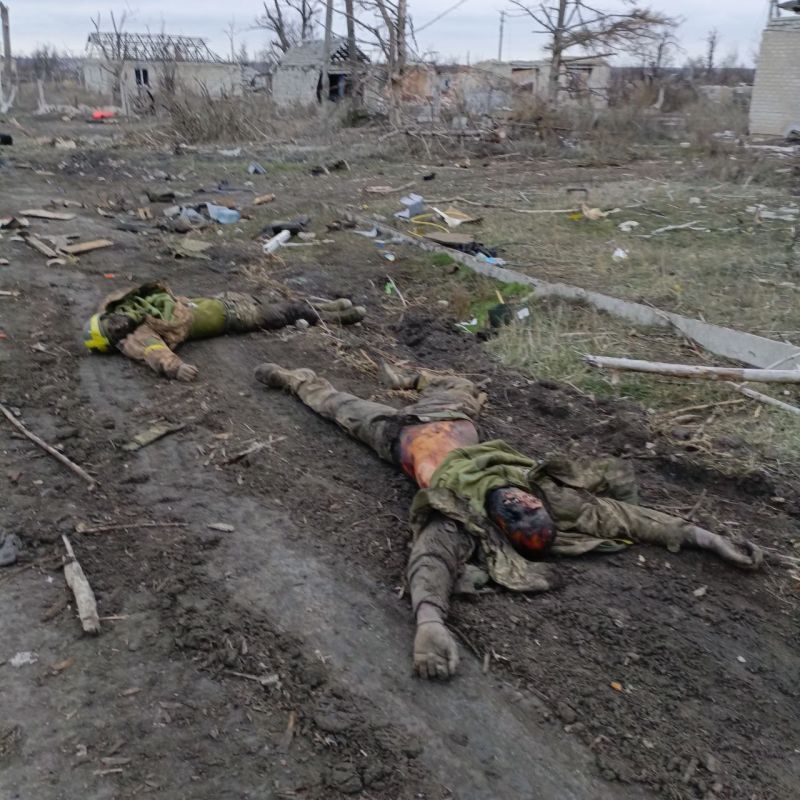 ������ �������: ������������ �� ����-�������� ����������� ������� ��������� ������