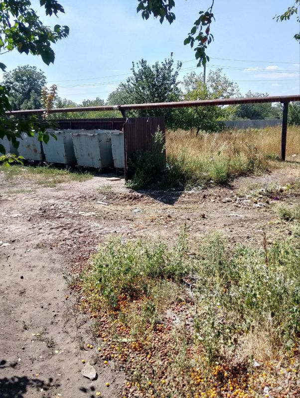 Сергей Желновач: С целью улучшения санитарного состояния городского округа Дебальцево, во исполнение поручения Главы Донецкой Народной Республики Дениса Владимировича Пушилина о вывозе несанкционированных свалок и...