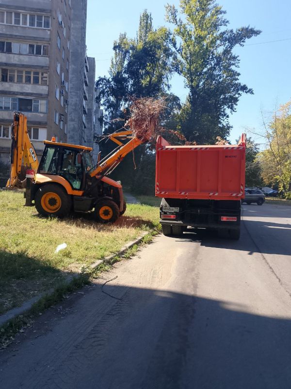 ����� ���������: �������, 20.08.2025 ����, ������ ����������� �������-������������ ����������� ������������� ���������������� ������ �. ������� ���� ��������� ��������� ������: