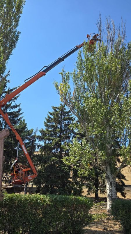 ������� ��������: � �������������� ������ ������������ ������ �� ���������� ��������� ��������