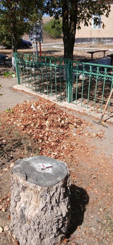 ������� ��������: � �������������� ������ ������ ����� ������� �������