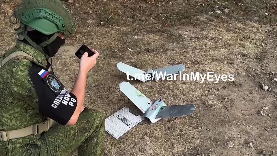 ��� ����� � ������ � ������� ���� � ��������� ������ 23 ������ ������ ��������
