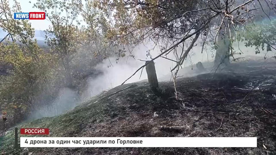 ������� ������: ���������������� �������� ���������� ��������� ����� ���������� �����������