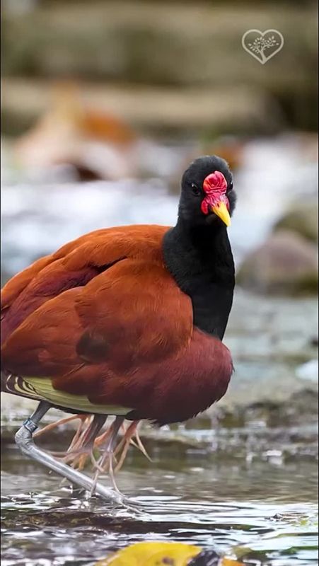 ����� ����������: ��� ���������� ������� ������� �������� �����, ��� ��������� �������� ������ ������� ��� ��������� ���������������, ���������� ���������� ��� ���������� ������ � ������ ���������� ���������� � ��������...