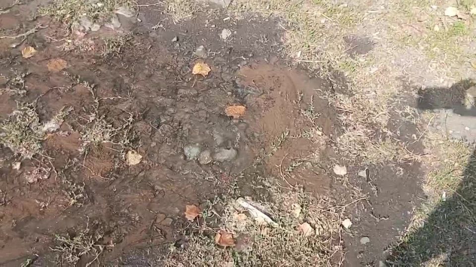 Борьба за воду единой командой