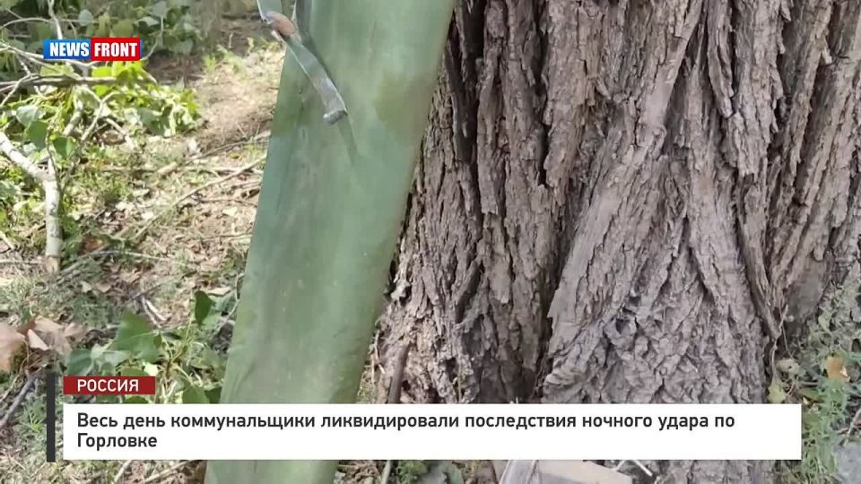 ������� ��������: ���� ���� ���������� ������������� ������������� ����������� ������� �����