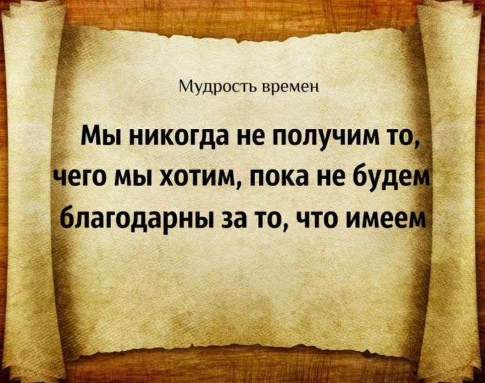 ������ �����. ��������� ���������-24