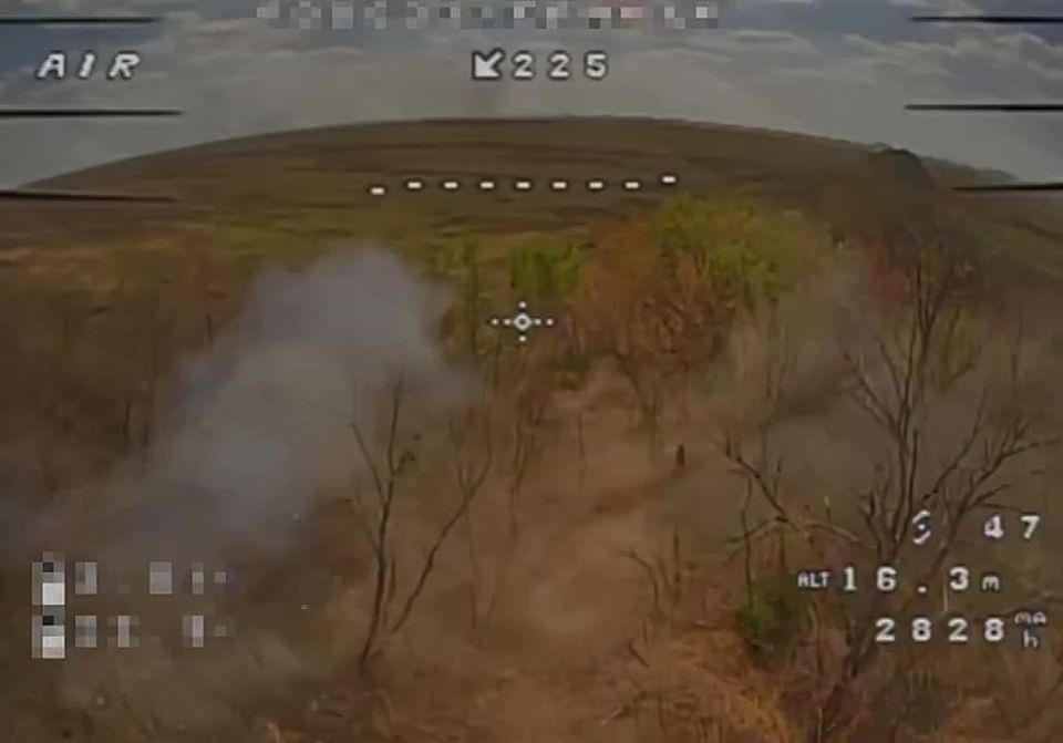 AIRNOMADS ��������� ����� ����������� ������ ���, ������� �������� ����������� ������ ������ ������� ������������� ���������� ��� ������ �� ���������� �����������