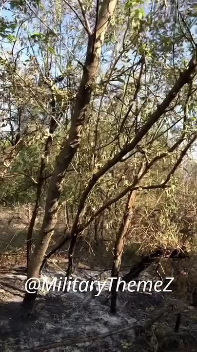 ���������� �����������. ������� �� ������� ��������� 200-� �������� ���������� ������ ������ � �������������� �����������