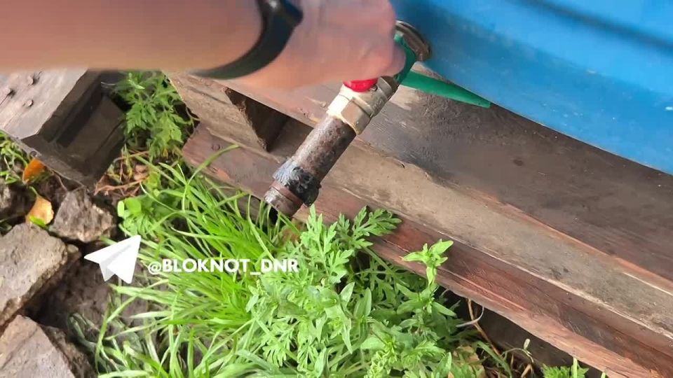 ��������� ����� �� �� - ������