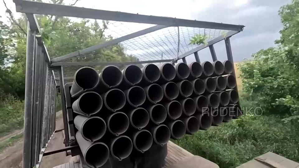 ������ �������: ������������ ����������� ����� ������� ���������� ����� ���� � ������� ���������� �� ����-�������� �����������