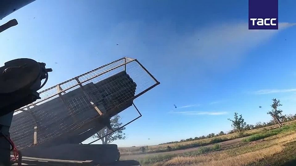 Сводка на 23 августа 2025 года: