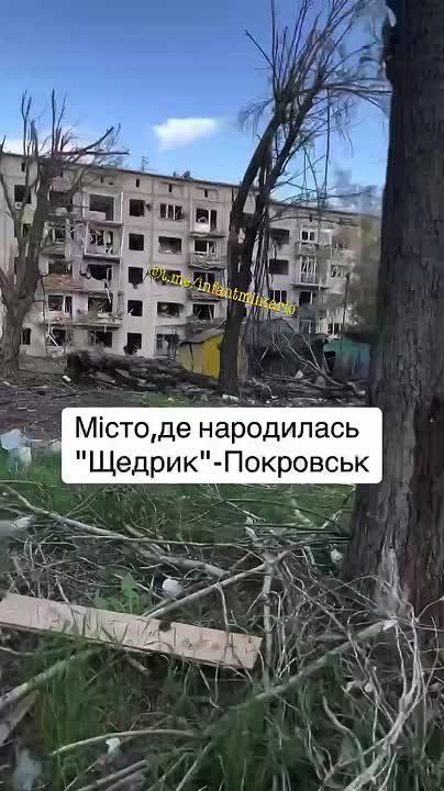 ������ ����� �� ���������