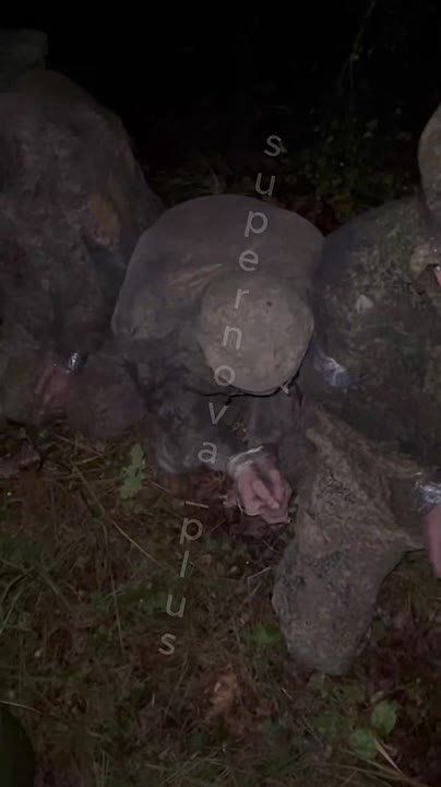 ������ �������: ������.. �� ������ ����� � �������� 5 �����