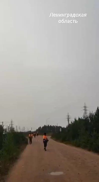 ������ �������: ���������� ������� ��� �������� ������������� ����� �������������