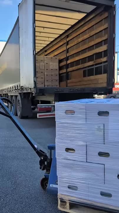 � ��������� ���������� ��������� ������ ������������ ��������������� ��� �������� ���� � ������� ���������������