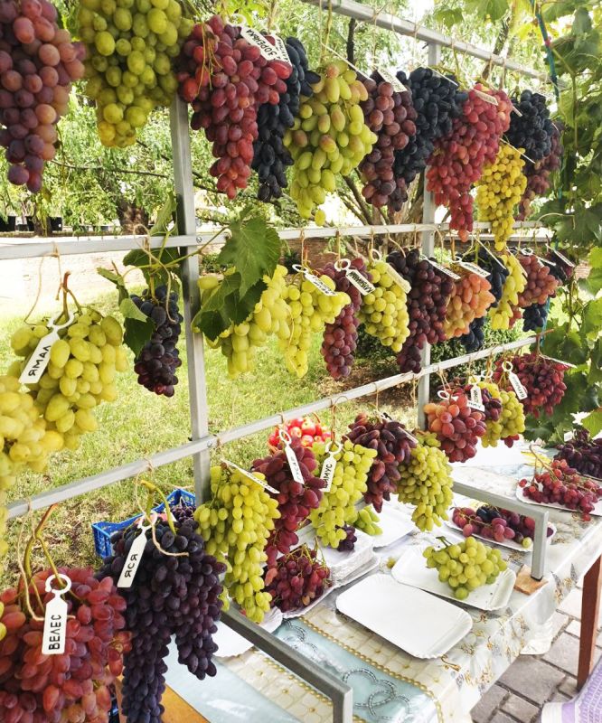 ��������� ��������: � ������� ������ �������� ��������� ��������