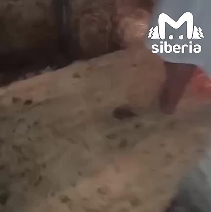 Школа с протекающей крышей и затопленным подвалом готовится встречать детей в Новосибирске