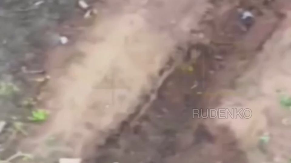 ������ �������: ����������� "�����" ����������� ����� ���������� ����� ���������� ���� ���������� � ������ �.�. �������