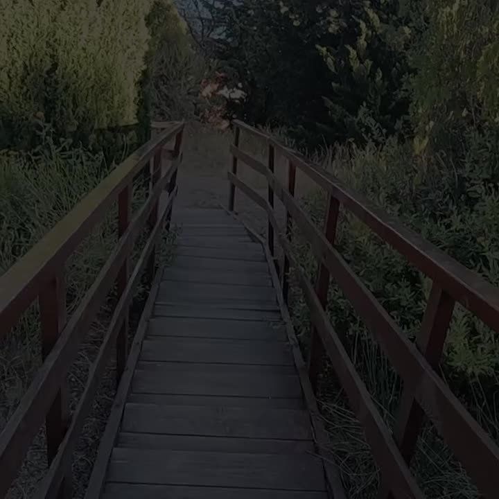 ������� ��������: ��������� �� ��������������� ������ �������� ��������������������� ����� ��������� �������������� ����