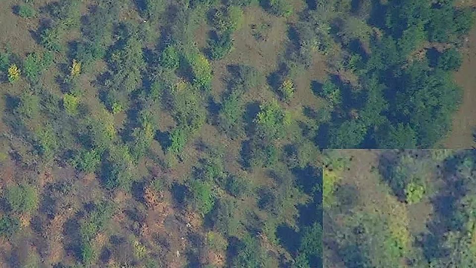 ������ �������: ������� ���� � ���������� ������ ����������� ����� � ��� ������ ������������� ��� ������� ���������