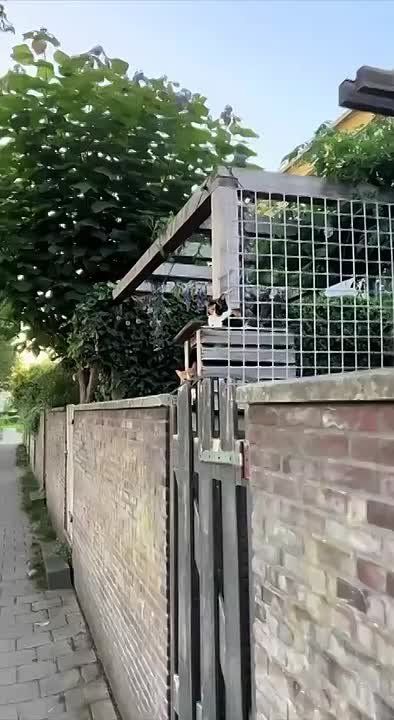 ��������!. �� ���� ������� ����-����������
