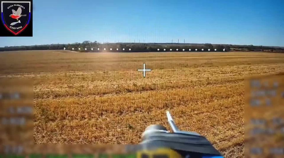 ��������� �������: ������ ������ ����������� 37 ��������� ����������� �������������� ������� ����������� "������" �� �� �� �������, ������� �� ��������