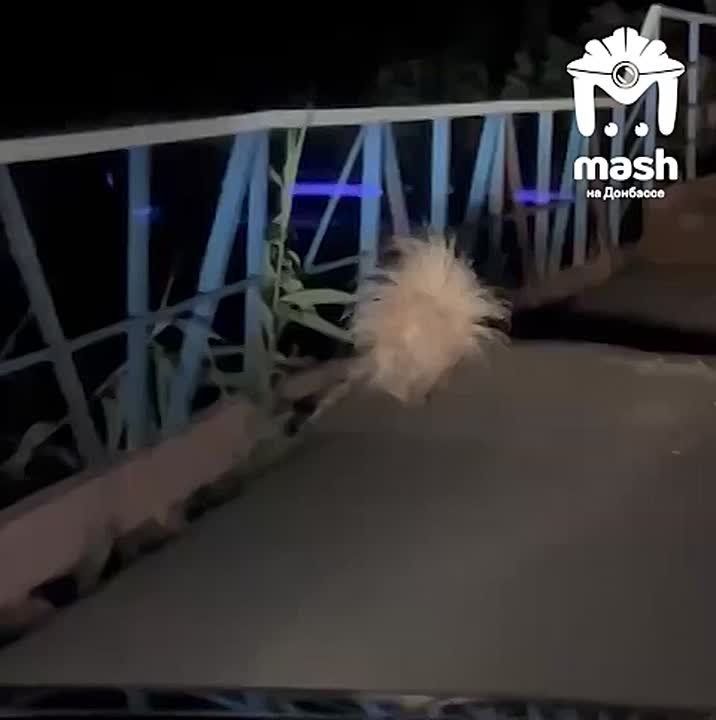 ������� � �������� ����������� �� ������� ���������