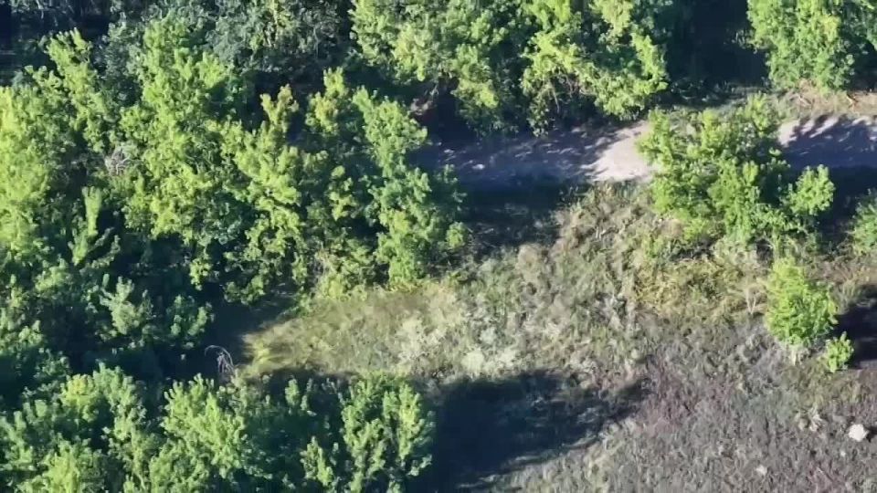 С мест сообщают, что ВСУ близки к полной потере Серебрянского лесничества