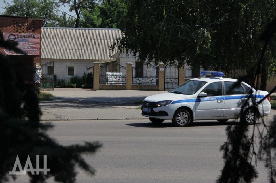 Власти Снежного прокомментировали ситуацию с собаками