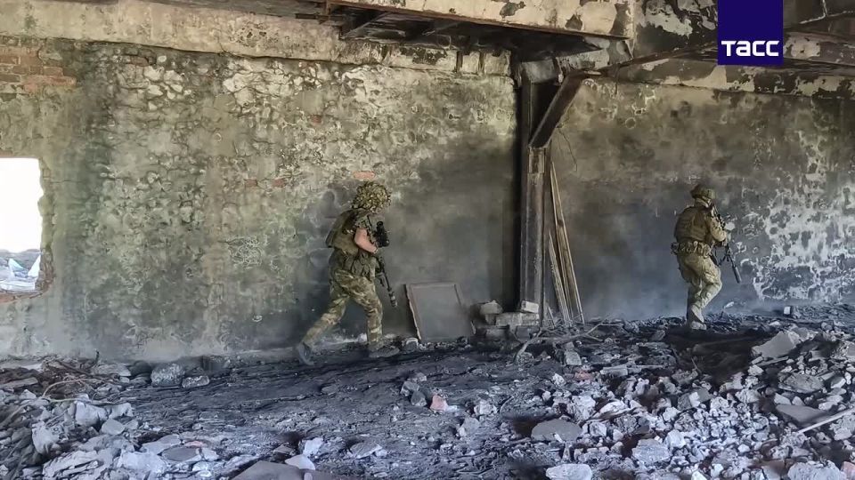 Снайперские пары ивановских десантников ежедневно уничтожают личный состав ВСУ под Часовым Яром в ДНР, кадры показало МО РФ