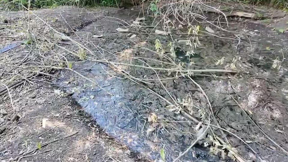 ������� ��������: ������� ����� ��� � ������ �������� � ��������� ������