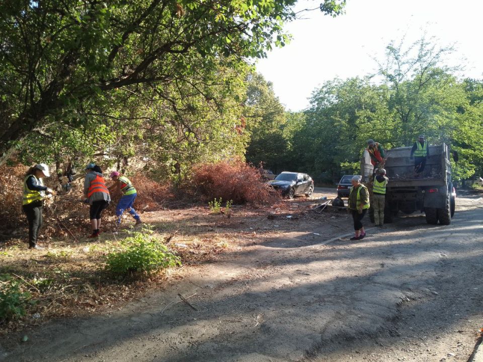 ����� �����: ������ ����������. �� ������� � �������� 14 ������� (