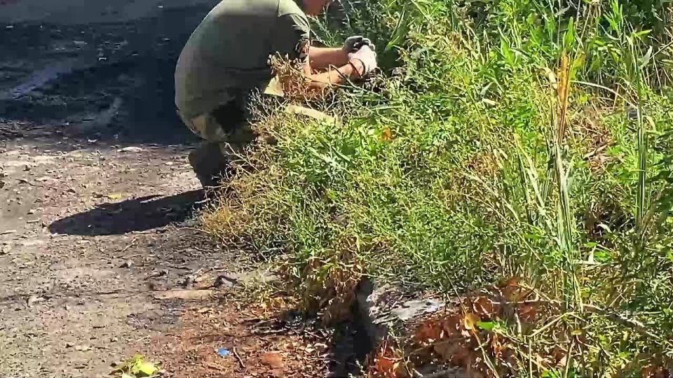 ФСБ сорвала атаку чешских беспилотников на города ДНР