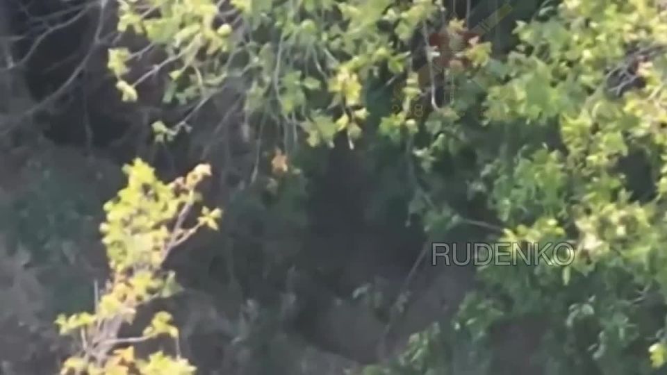 Андрей Руденко: Расчетами БпЛА и артиллерии «Южной» группировки войск в ДНР уничтожены пункт управления БпЛА и радиооборудование ВСУ