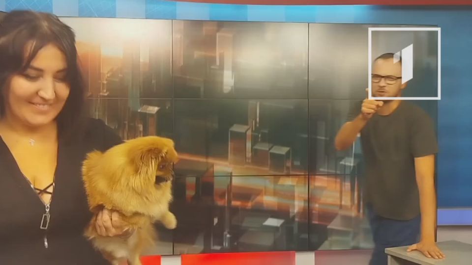 Не пропустите! Только на Первом Республиканском!