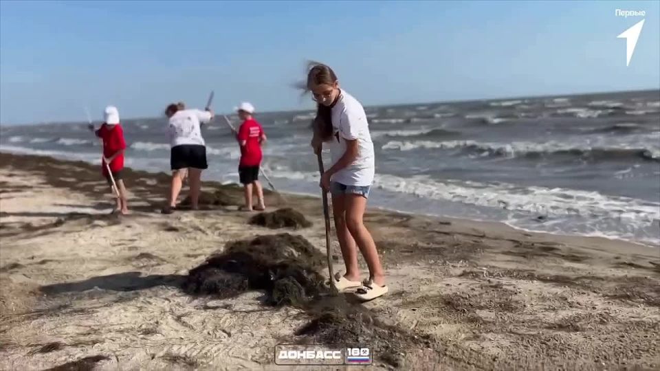 Казалось бы, что лето подходит к концу и нужно успеть отдохнуть, но первые так не думают