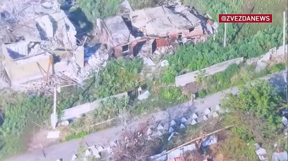 ���� ��������: ������� ����� � ������ ������ � �.�. ������ ��� � ���